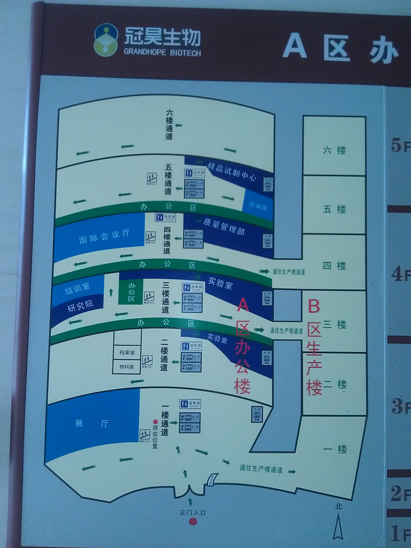 冠昊生物(圖2)